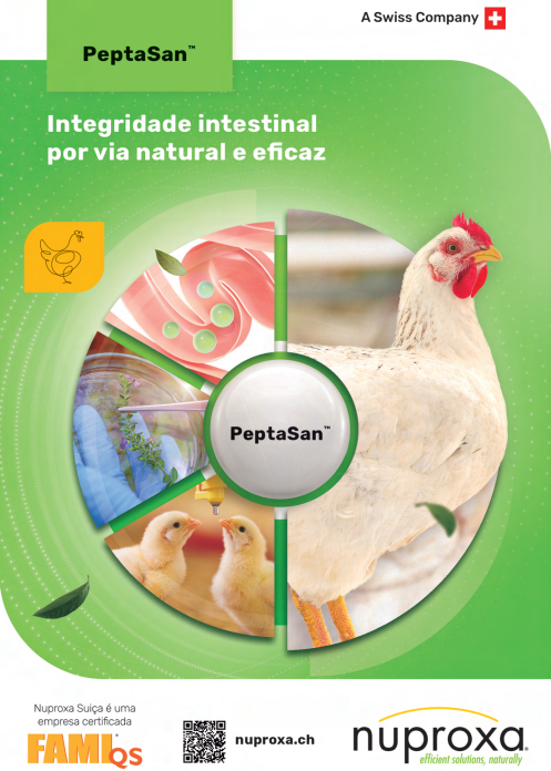 Biggvet Produtos Veterinrios -