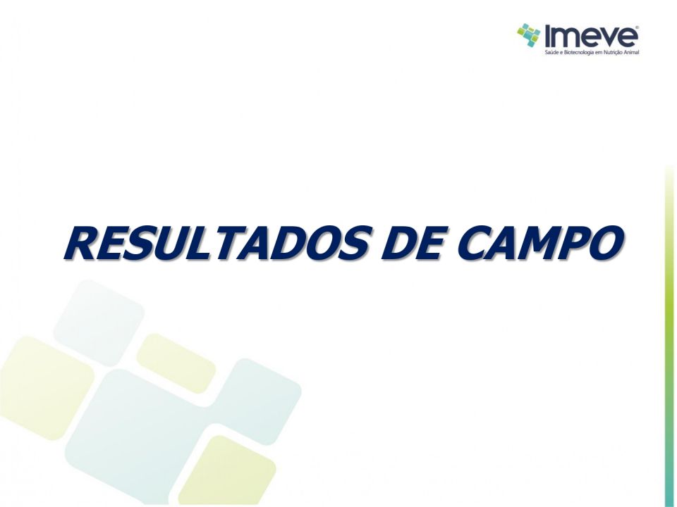 Biggvet Produtos Veterin�rios -