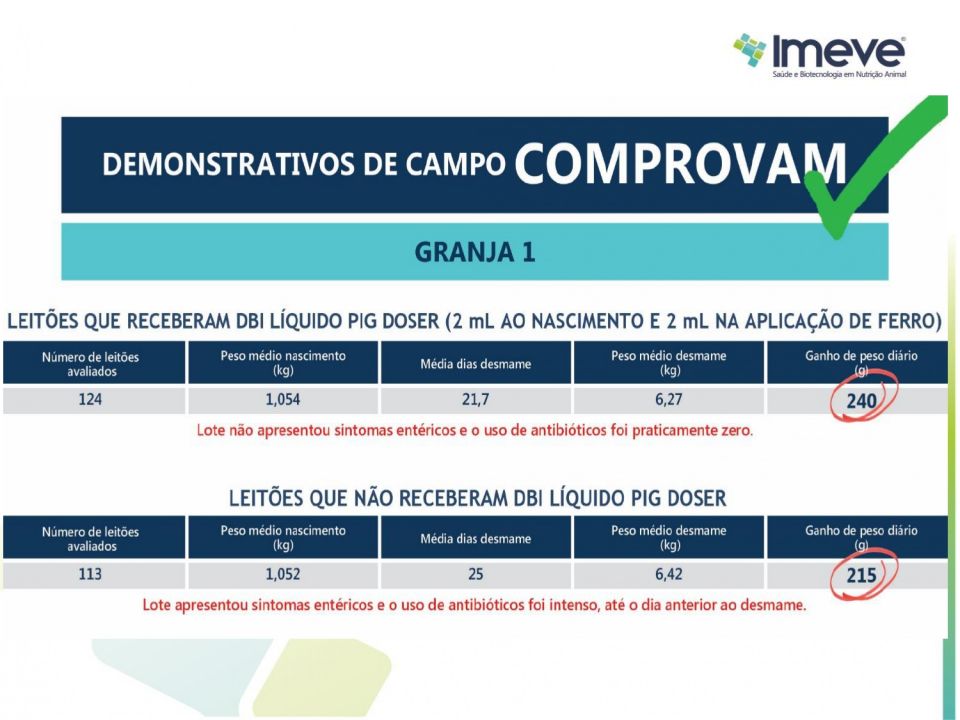 Biggvet Produtos Veterin�rios -