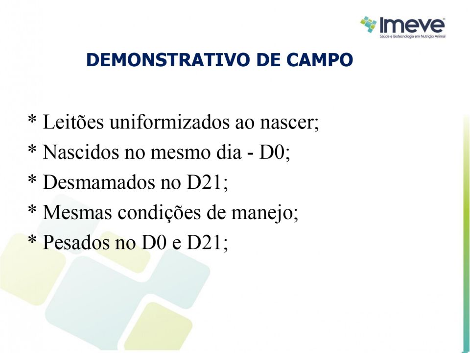 Biggvet Produtos Veterin�rios -