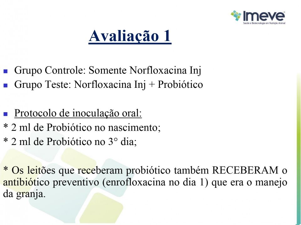 Biggvet Produtos Veterin�rios -