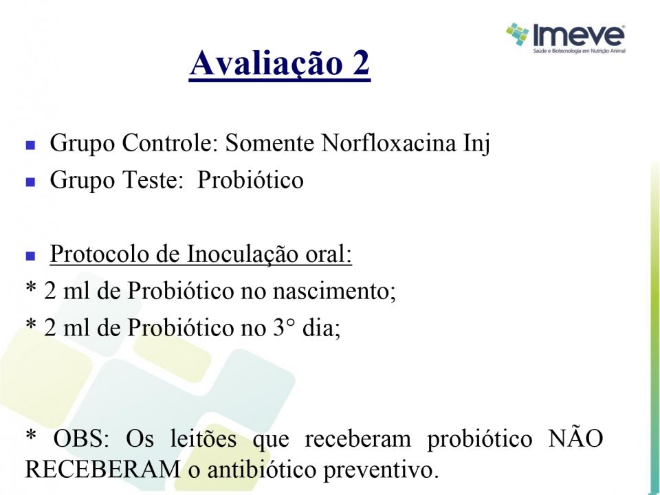 Biggvet Produtos Veterin�rios -