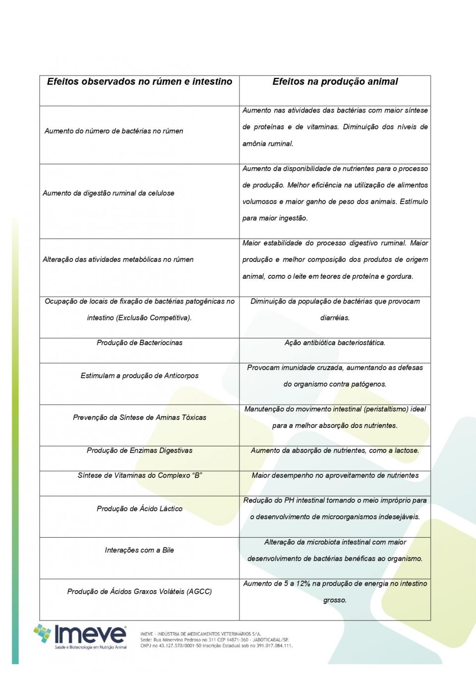 Biggvet Produtos Veterin�rios -