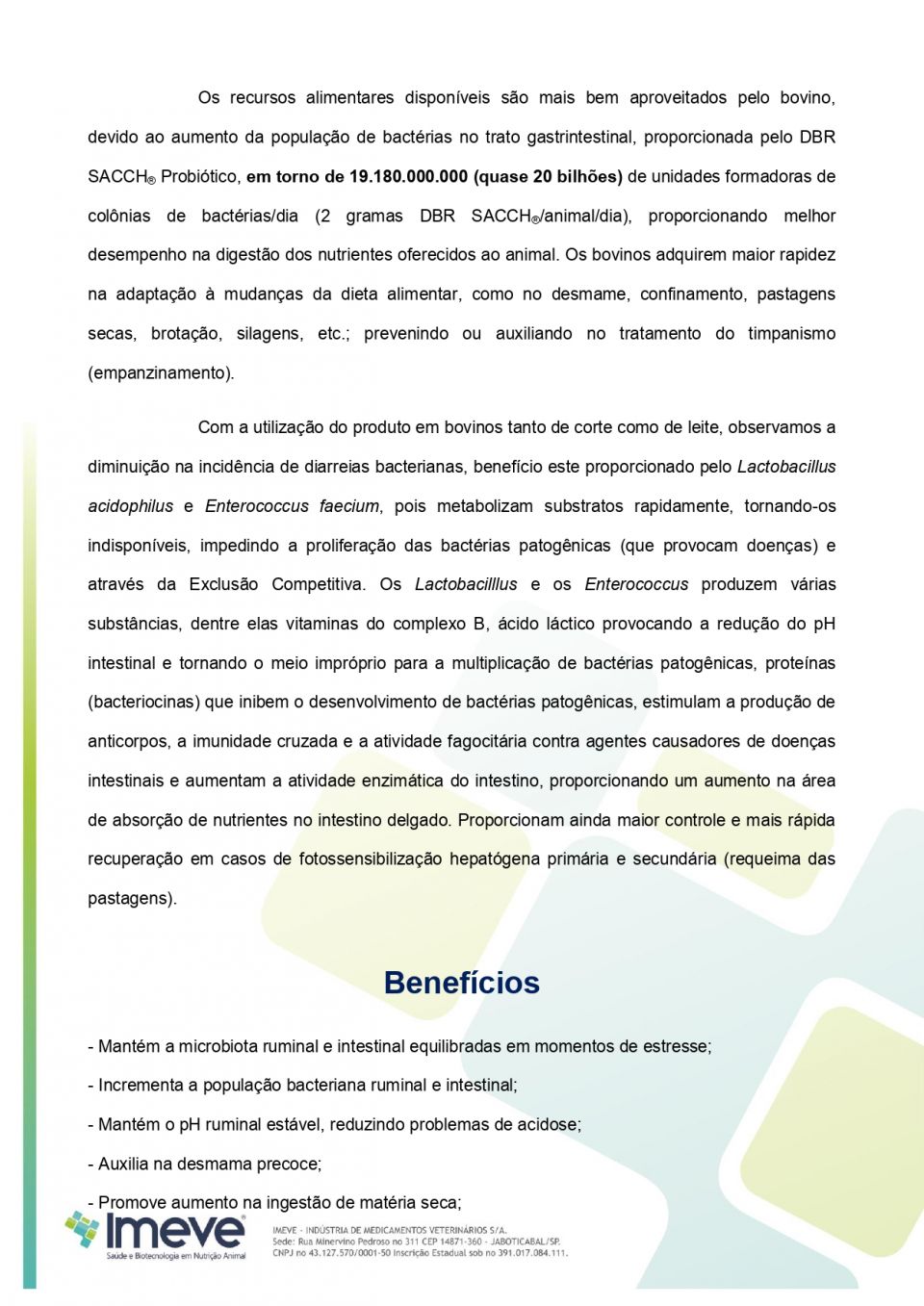 Biggvet Produtos Veterin�rios -